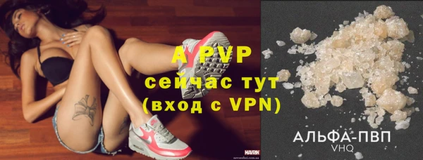 кокс Курчалой