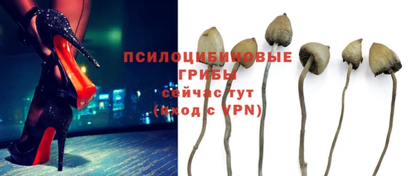 прущая мука Гусь-Хрустальный