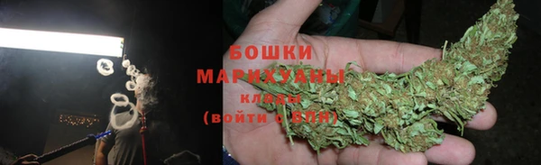 ALPHA PVP Гусев