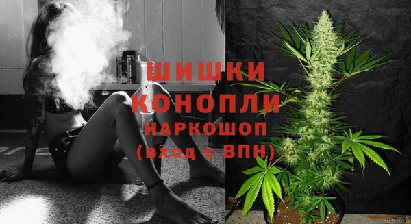 ALPHA PVP Гусев